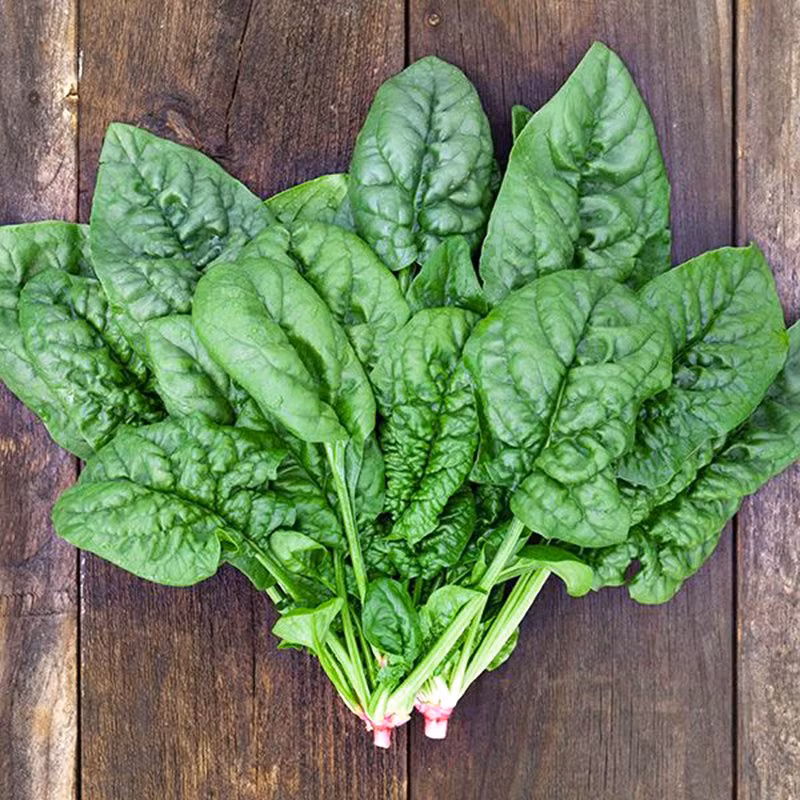 Bi kip phan biet cac loai rau cai cho chi em-Hinh-10