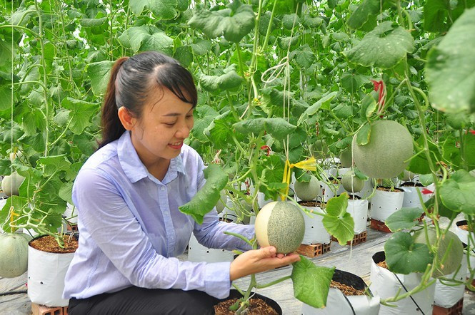 Dua luoi 'khung' cua nu thac si 8X o Vinh Long-Hinh-10