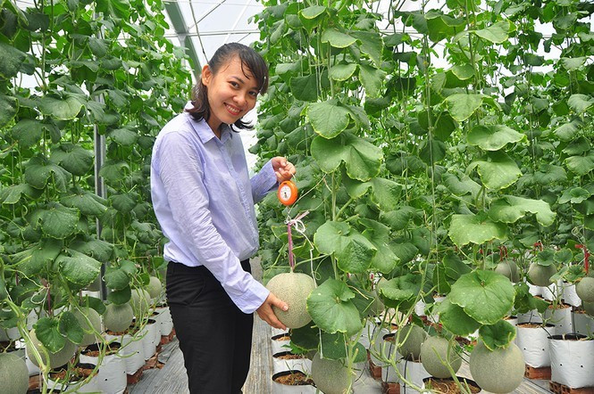 Dua luoi 'khung' cua nu thac si 8X o Vinh Long-Hinh-11