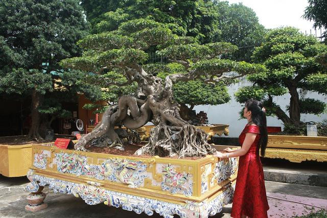 Vo Toan do la - nguoi giau chong mang 5 ty di mua sieu cay