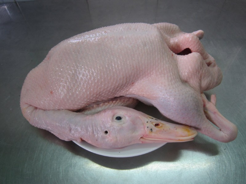 Cach chon thit vit mo san tuoi ngon khong chat tang trong-Hinh-2