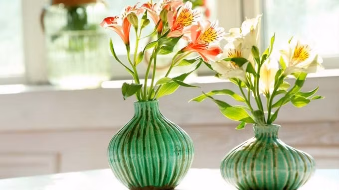 Dat binh hoa trong nha dung phong thuy, tien bac dem hoai khong het-Hinh-2