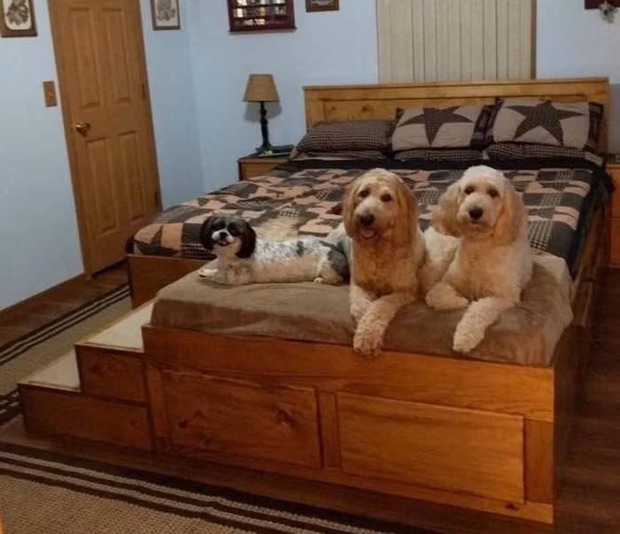 Những món đồ nội thất cực độc đáo nên có trong nhà - Hình 10 Nhung mon do noi that cuc doc dao nen co trong nha-Hinh-10