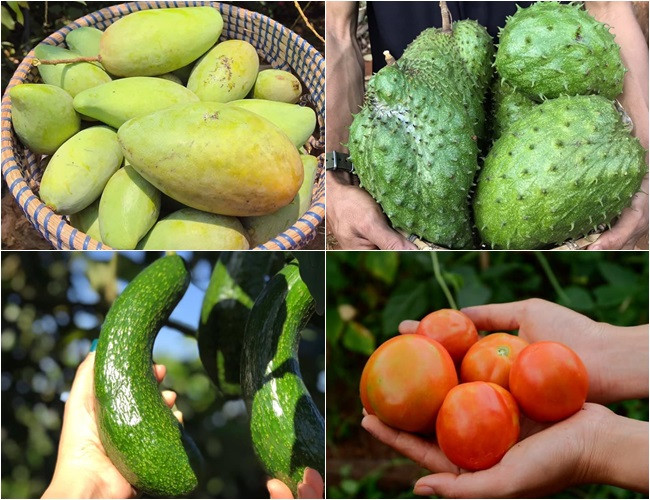 Cặp vợ chồng 9x bỏ Sài Gòn lên núi làm "người rừng" ảnh 7