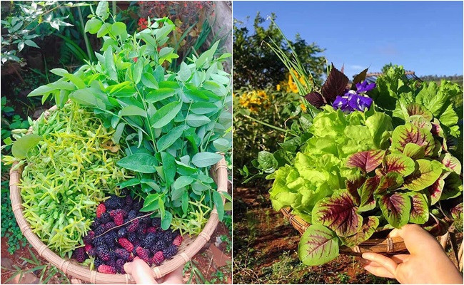 Cặp vợ chồng 9x bỏ Sài Gòn lên núi làm "người rừng" ảnh 8