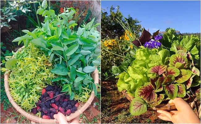 Cặp vợ chồng 9x bỏ Sài Gòn lên núi làm "người rừng" ảnh 8