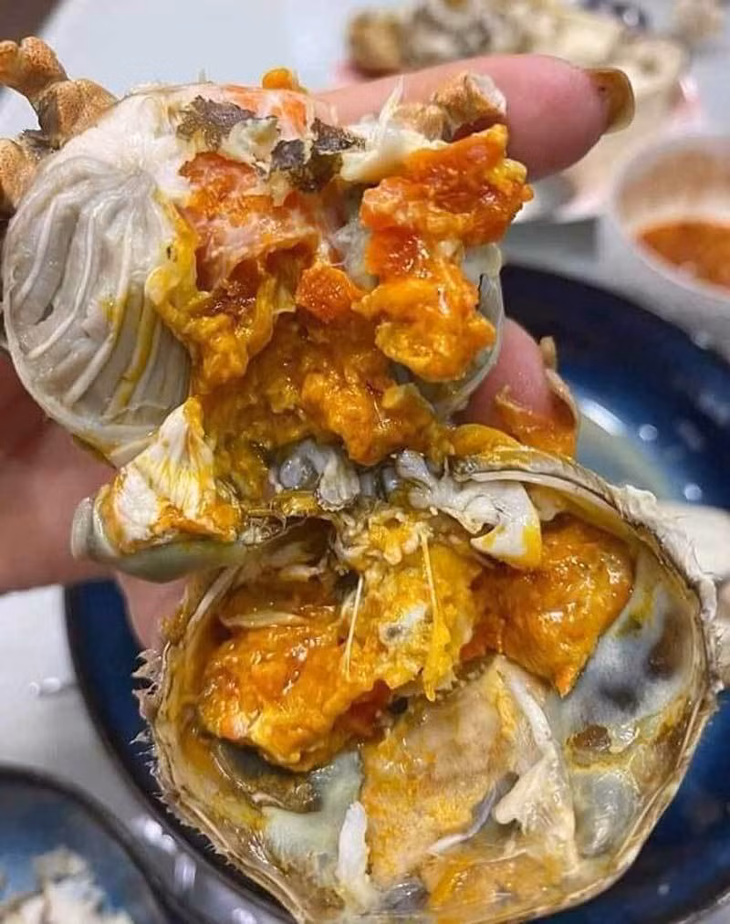 Dan giau do ve song Cau san dac san troi cho-Hinh-5