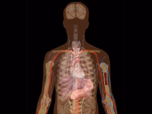 10 bien chung nguy hiem cua benh COVID-19-Hinh-4