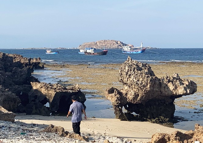 Kỳ thú rạn san hô cổ hóa thạch trên cạn Ky thu ran san ho co hoa thach tren can