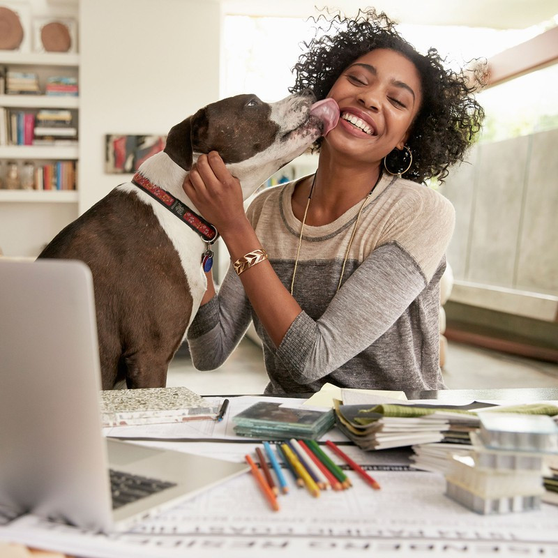  Chơi với thú cưng: Nuôi một con chó hoặc mèo có thể cải thiện chất lượng cuộc sống của bạn. Sự chào đón hân hoan của chúng khi bạn trở về, lòng trung thành của chúng sẽ là người bạn đồng hành tuyệt vời của bạn.