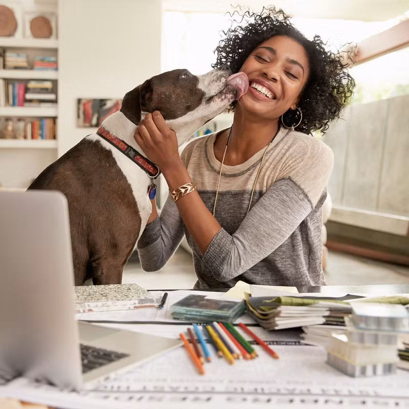  Chơi với thú cưng: Nuôi một con chó hoặc mèo có thể cải thiện chất lượng cuộc sống của bạn. Sự chào đón hân hoan của chúng khi bạn trở về, lòng trung thành của chúng sẽ là người bạn đồng hành tuyệt vời của bạn. 