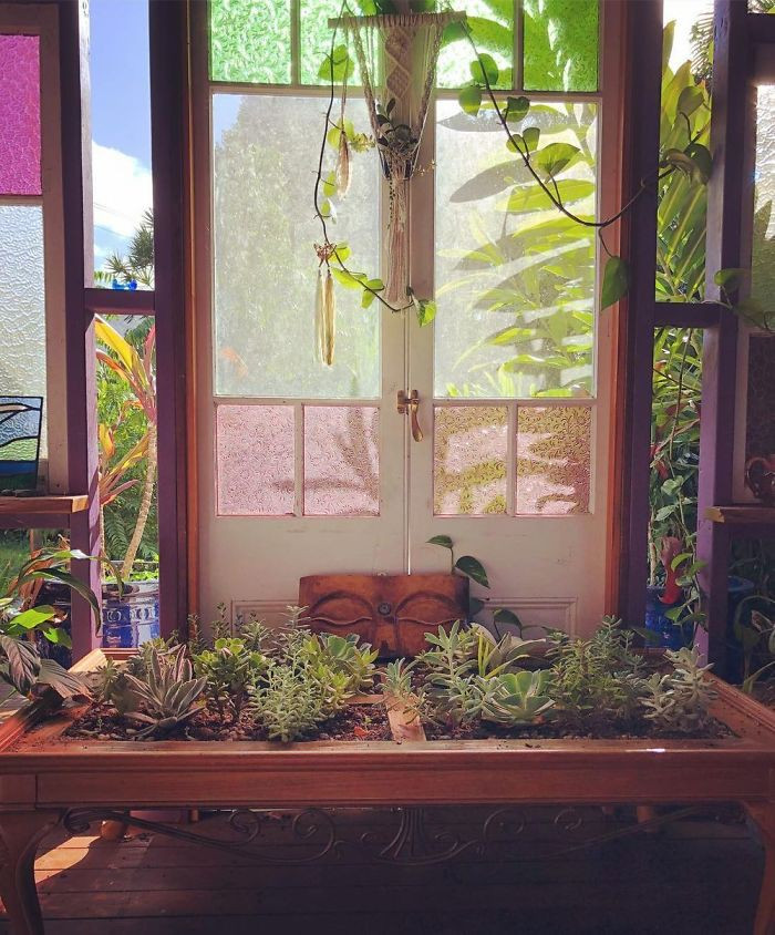 Không gian ngôi nhà của bạn sẽ có thêm nhiều màu sắc cùng với chất lượng không khí được cải thiện.