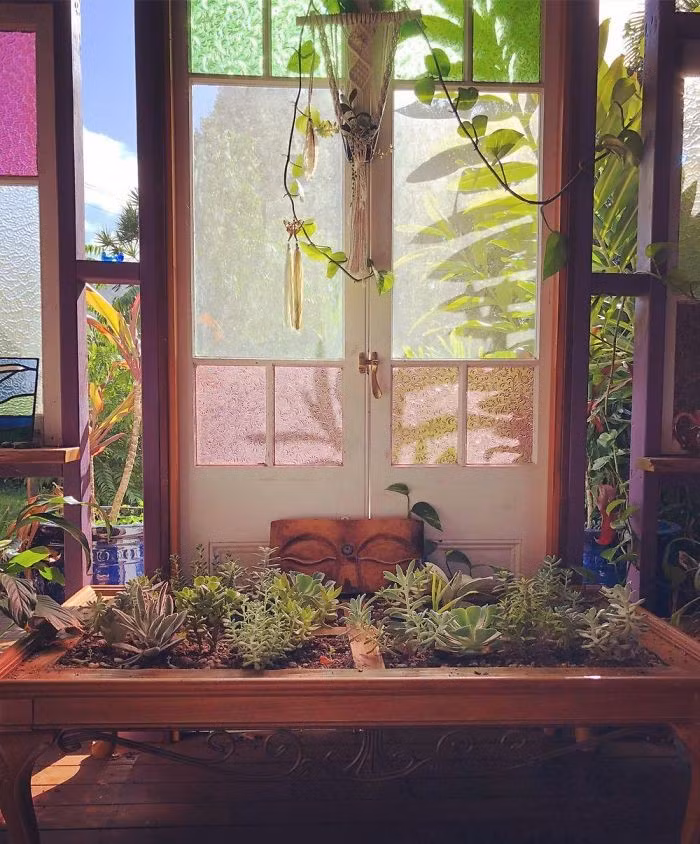 Không gian ngôi nhà của bạn sẽ có thêm nhiều màu sắc cùng với chất lượng không khí được cải thiện.