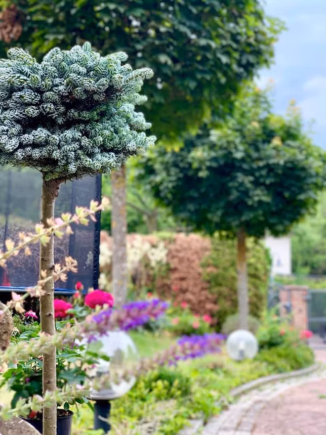 Nu ca si cho ban vay 200 ty chi sau 1 cuoc goi co gia tai do so-Hinh-13