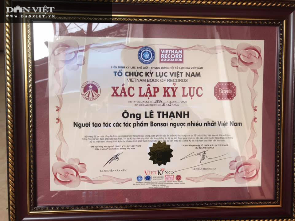 Hàng trăm cây bonsai mọc ngược được xác nhận kỷ lục Việt Nam - Hình 2 Hang tram cay bonsai moc nguoc duoc xac nhan ky luc Viet Nam-Hinh-2