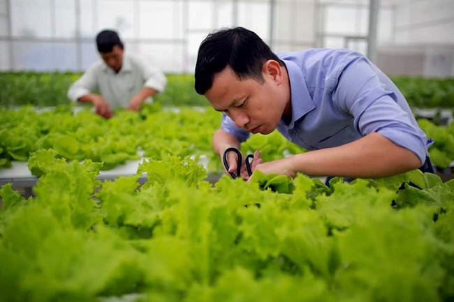 7x thu hang ty dong moi nam nho trong rau-Hinh-6