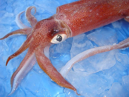 Mua muc so vao rau 3 giay, dam bao nham trung muc chuan