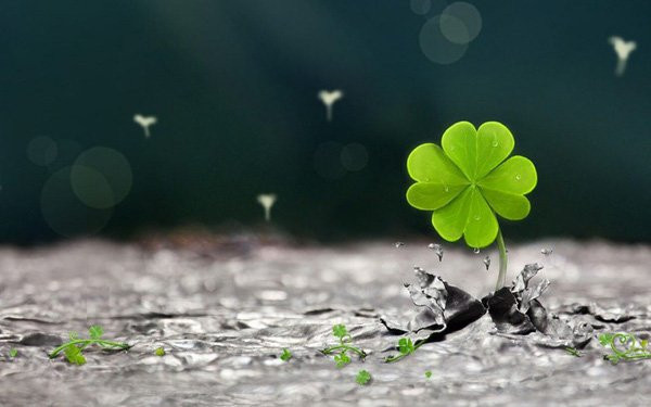 Giam bot 3 thu nay, muon phien tu khac tan bien