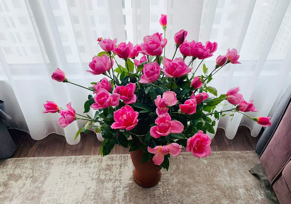 6 tro thu dac luc nhat lam mat ngoi nha ngay nong-Hinh-3