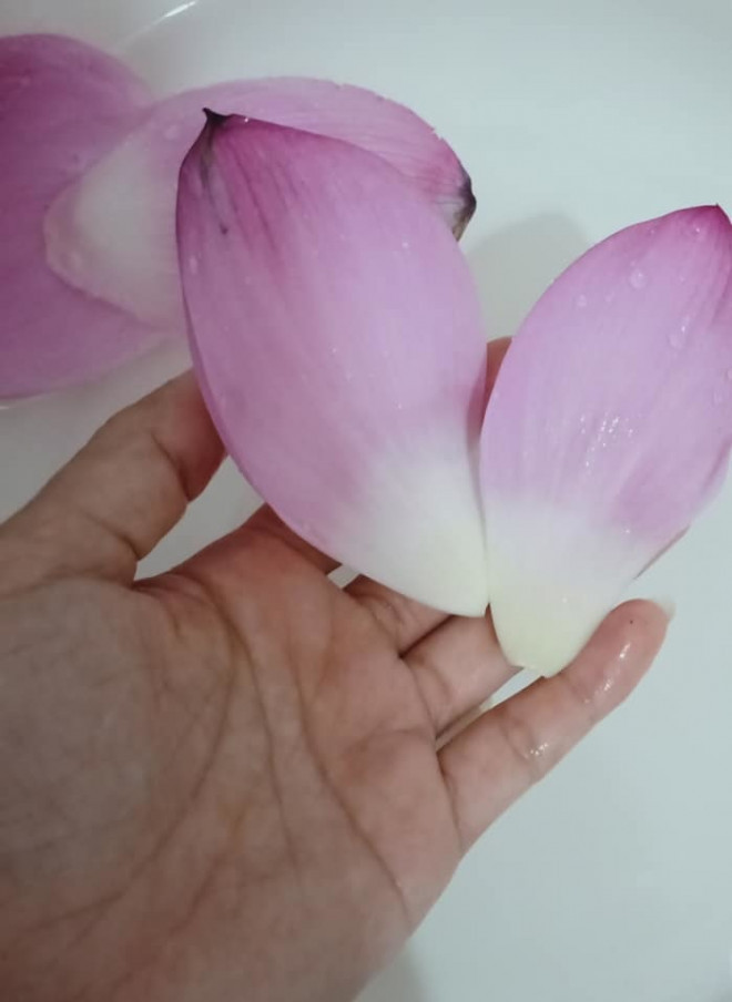 Mon cha doc la tu canh hoa sen cuc thom ngon-Hinh-3