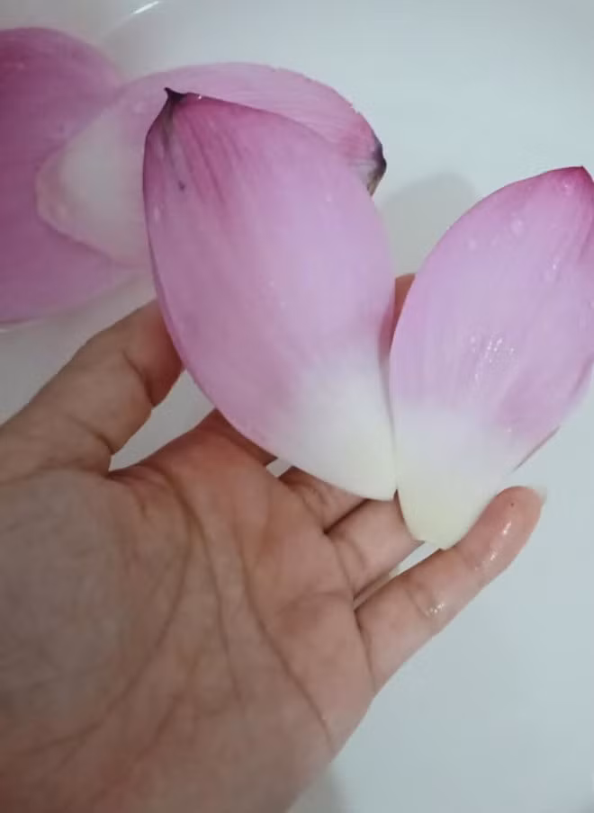 Mon cha doc la tu canh hoa sen cuc thom ngon-Hinh-3