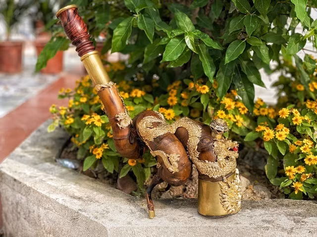 Oi khong lo moi nam ra hon 100 qua, nang toi 1 kg/qua-Hinh-2