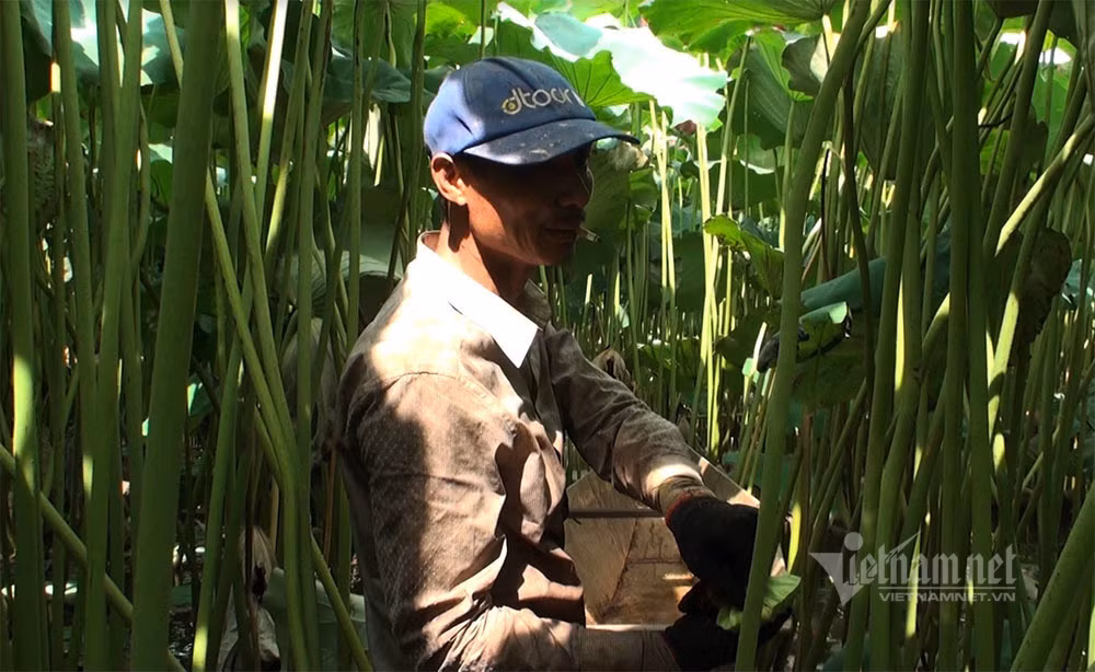 Nong dan hai thang dam minh duoi bun, dut tui tien ty-Hinh-7