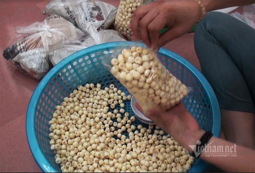 Nong dan hai thang dam minh duoi bun, dut tui tien ty-Hinh-17