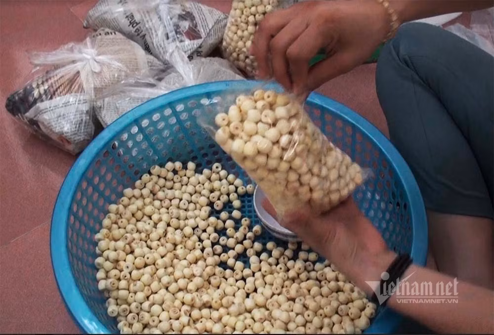 Nong dan hai thang dam minh duoi bun, dut tui tien ty-Hinh-17