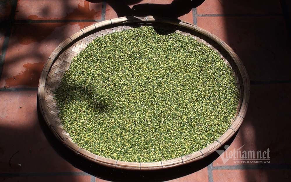 Nong dan hai thang dam minh duoi bun, dut tui tien ty-Hinh-18