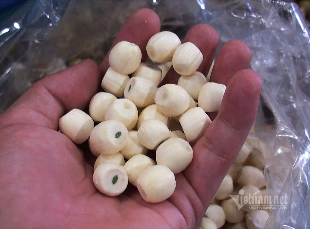 Nong dan hai thang dam minh duoi bun, dut tui tien ty-Hinh-16