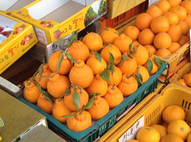 Ngày nay, từ loại quýt này, Hàn Quốc đã nghiên cứu để dùng chúng chế thành các viên vitamin C, món ăn, mỹ phẩm hấp dẫn các du khách khi đến Jeju.