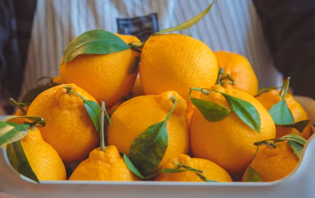 Mùa xuân và mùa đông là thời điểm tốt nhất để mua loại quýt này vì ngon nhất.