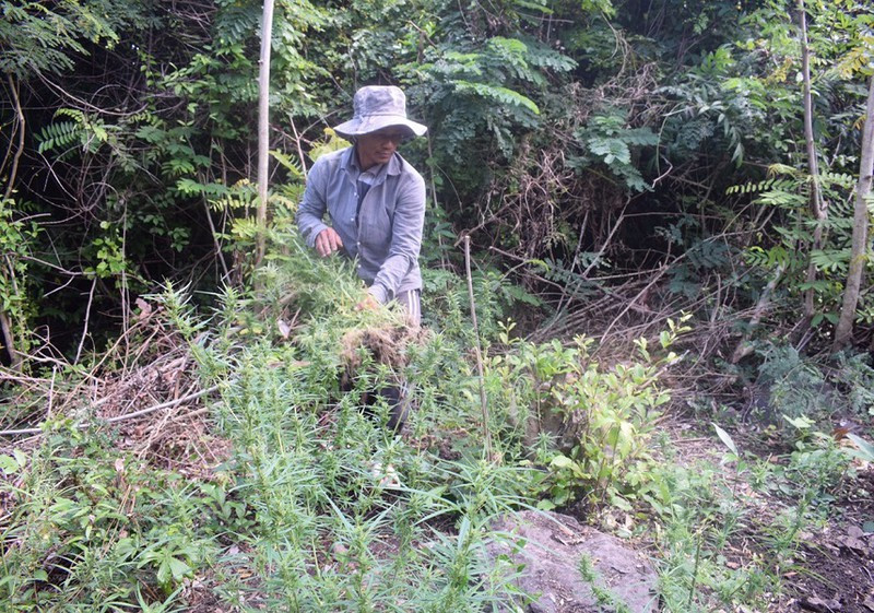 Trong can sa cho ga an roi nhan giong ban cho nguoi nghien