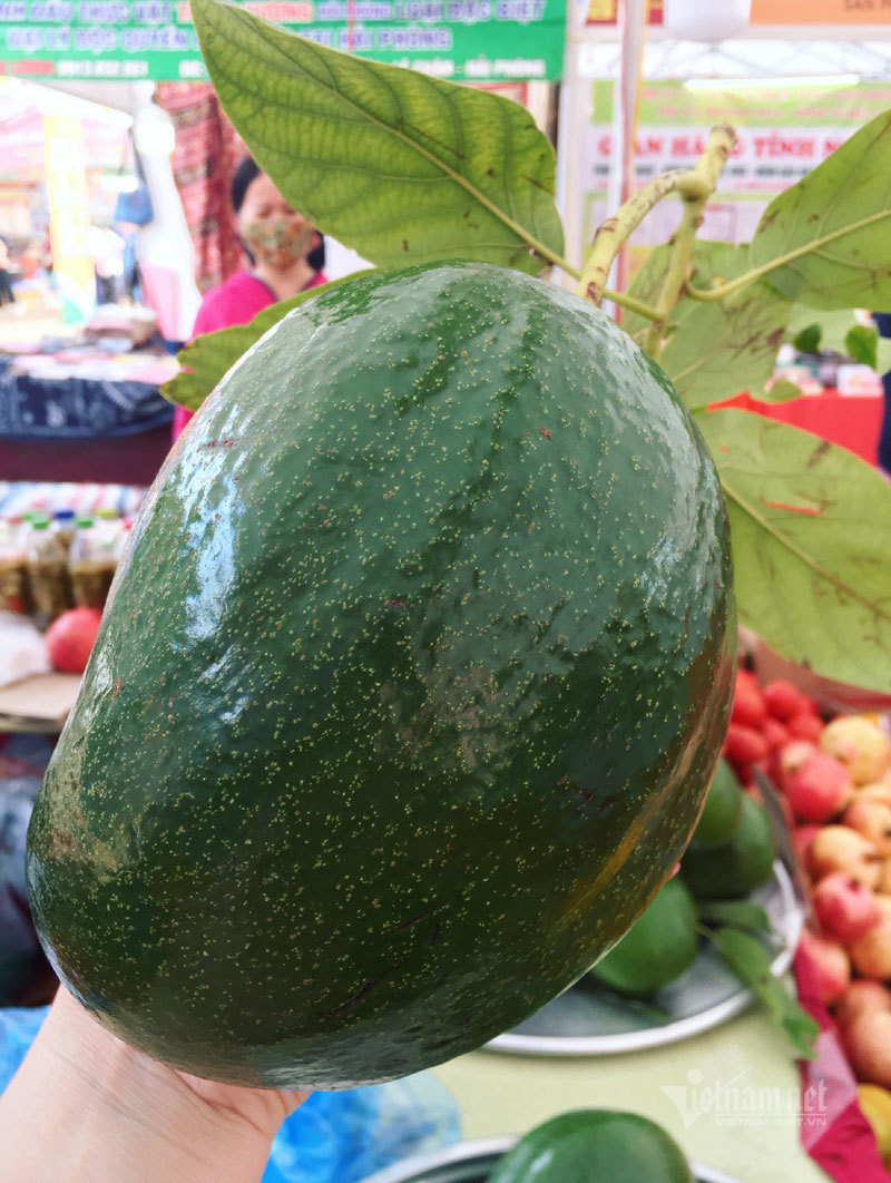 Oi 'Le Roi' 1,5 kg ve cho hut khach Ha thanh-Hinh-2