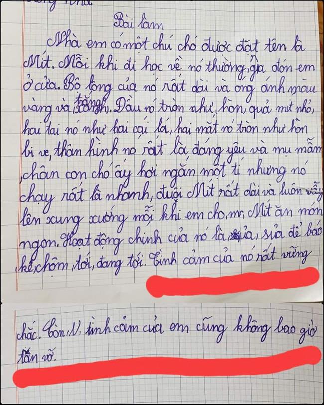 Hoc sinh ta thu cung, co giao cham 1 diem, doi gap phu huynh-Hinh-2