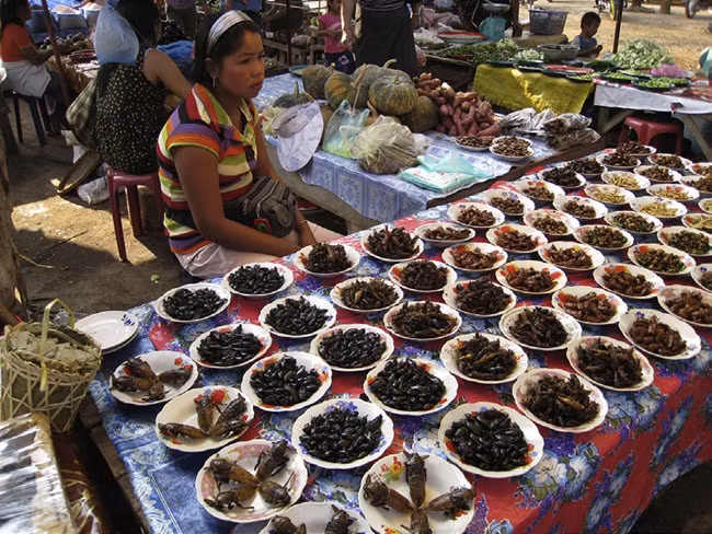 Loai truoc song day ruong, nay nuoi kiem tien trieu de dang-Hinh-10