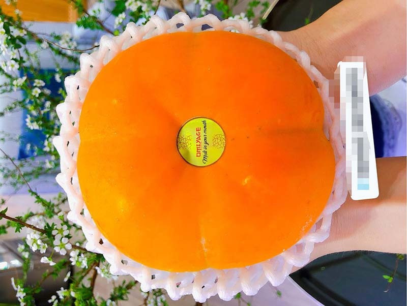 Hong Nhat khong lo 1 trieu dong/qua van chay hang-Hinh-2