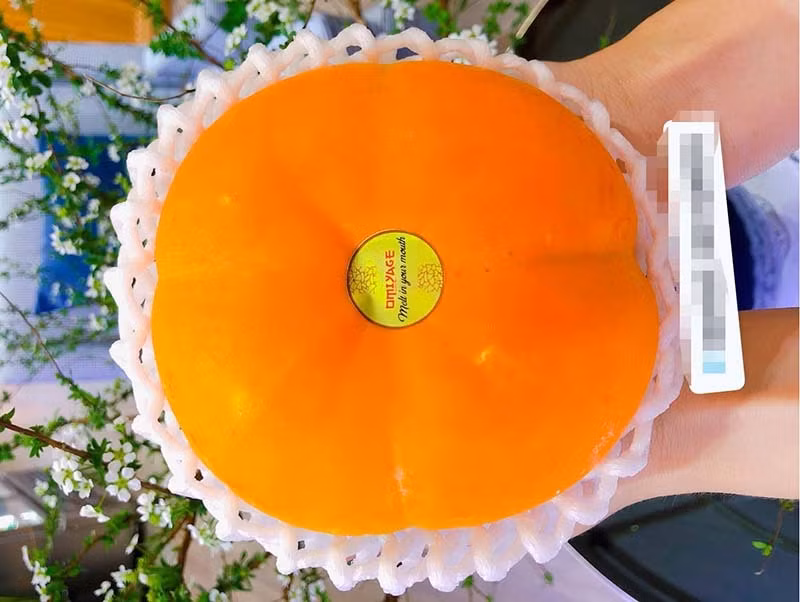 Hong Nhat khong lo 1 trieu dong/qua van chay hang-Hinh-2