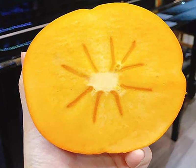 Hong Nhat khong lo 1 trieu dong/qua van chay hang-Hinh-3