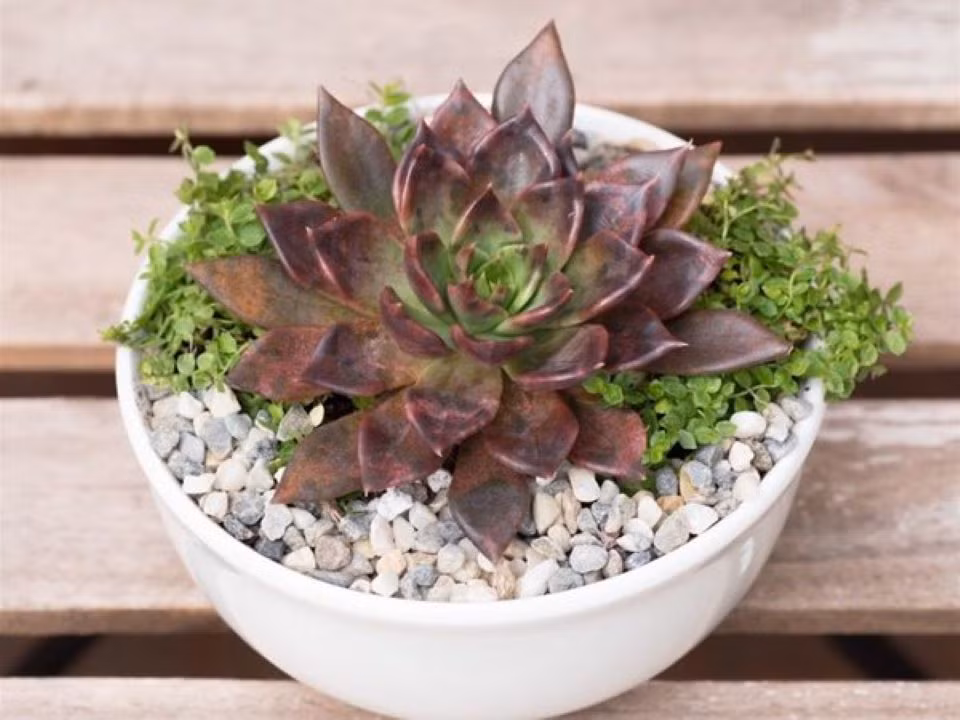 Nhung luu y de phong thuy de ngoi nha luon may man