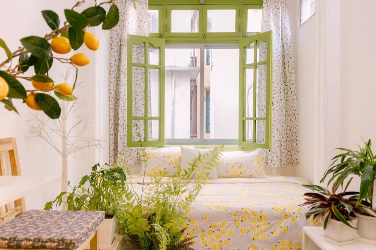 Can ho cu lot xac ngo ngang voi chi phi tu 25 - 100 trieu dong-Hinh-4