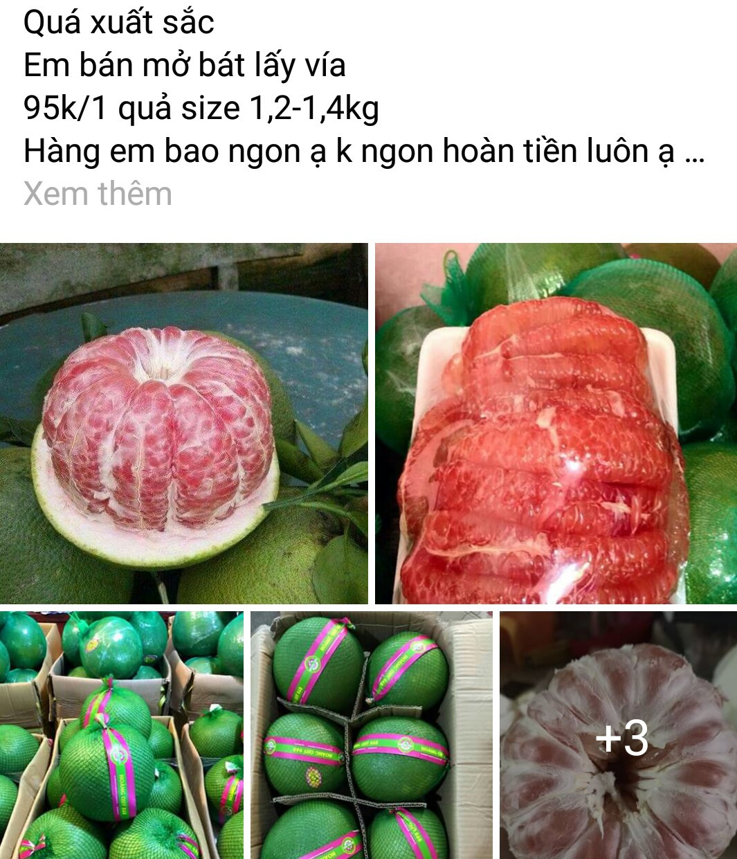 Giữa bão dịch Covid-19, những người này ngồi nhà đếm tiền - Hình 2 Giua bao dich Covid-19, nhung nguoi nay ngoi nha dem tien-Hinh-2