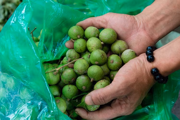 Sau non gia cao cuc khan hang vi moi vao mua-Hinh-3