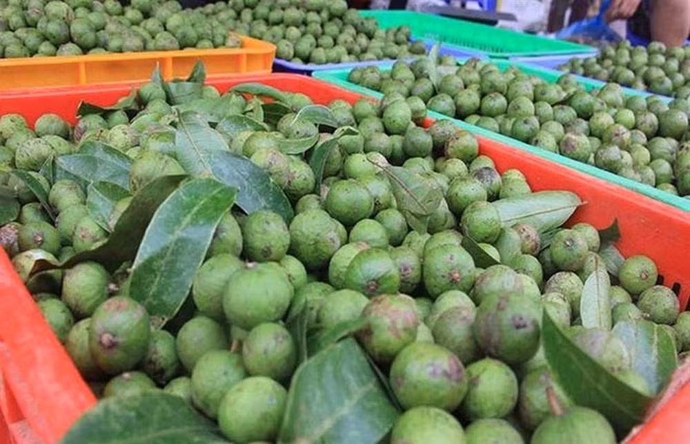 Sau non gia cao cuc khan hang vi moi vao mua