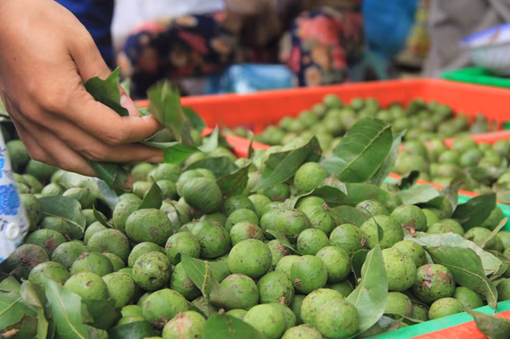 Sau non gia cao cuc khan hang vi moi vao mua-Hinh-2