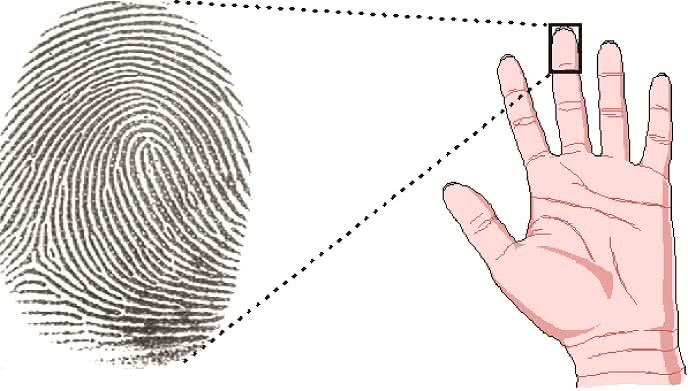 Soi tuong hoa tay giup cho ban biet truoc tuong lai cua minh-Hinh-2