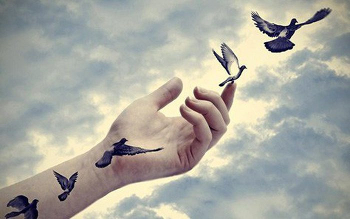 Day chinh la nang luc that su de dua chung ta toi ben bo hanh phuc-Hinh-2