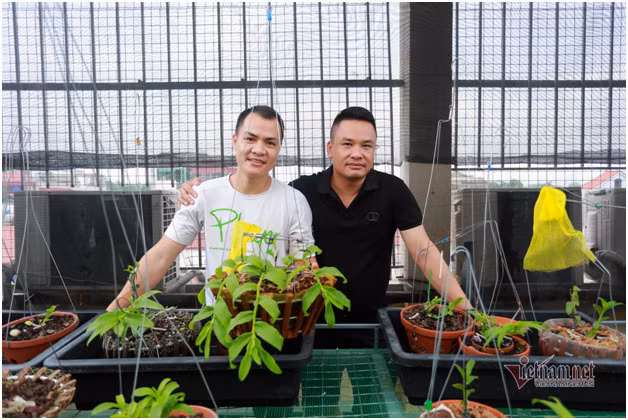 Bo 400 trieu choi lan, doi ban than Ha Noi co gia tai chuc ty