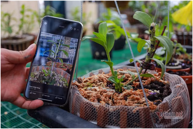 Bo 400 trieu choi lan, doi ban than Ha Noi co gia tai chuc ty-Hinh-3